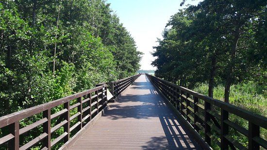 Sporty wodne na Plaży Władysławowo
